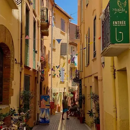 2** Avec Loggia, Parking, à 5 Min De La - Argelès-sur-mer - Fr-1-732-10